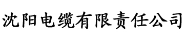 极品成人电影电缆厂logo